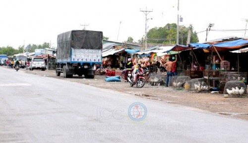 Khám phá chợ chim trời lớn nhất miền Tây