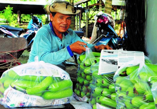 Rau củ dù sản xuất theo quy trình VietGAP nhưng phần lớn vẫn phải đưa ra chợ tiêu thụ như sản phẩm truyền thống