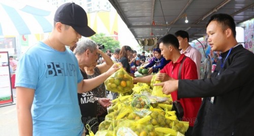 Người dân Hà Nội hào hứng với đào không hạt đến từ Bắc Kạn