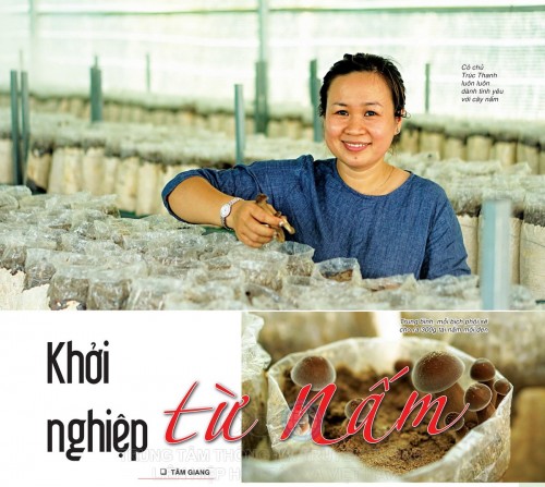 Tây Ninh: Phiên dịch viên khởi nghiệp từ nấm