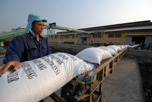 Gạo Việt nỗ lực tăng tốc trên thị trường xuất khẩu lẫn nội địa