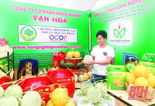 Thanh Hóa: Mở rộng kênh phân phối cho nông sản địa phương