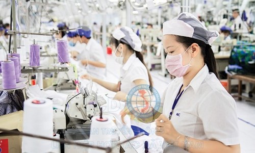 Thị trường lao động 2021: Những tín hiệu khả quan