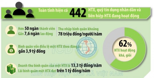 Đồng Nai: Kinh tế tập thể phát triển nổi bật