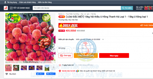 Mặt hàng vải thiều Thanh Hà được bán trên sàn thương mại điện tử Sendo