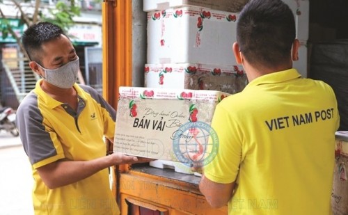 Ngoài 2 sàn Voso của Viettel Post và Postmart của Vietnam Post, 4 sàn Sendo, Lazada, Tiki và Shopee cũng đã mở gian hàng tiêu thụ vải Bắc Giang