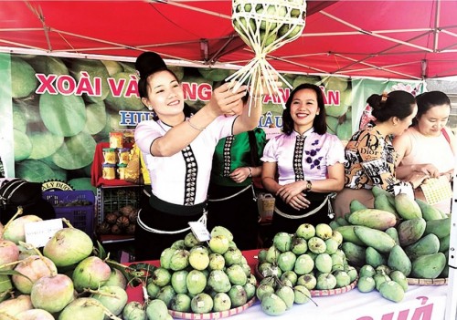 Tạo đầu ra cho nông sản vùng miền thông qua thương mại điện tử