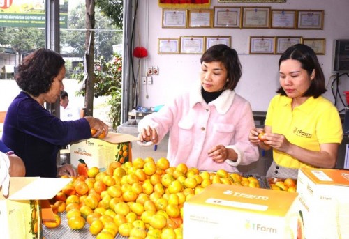 Trên 200 gian hàng tham gia Lễ hội cam Cao Phong năm 2022