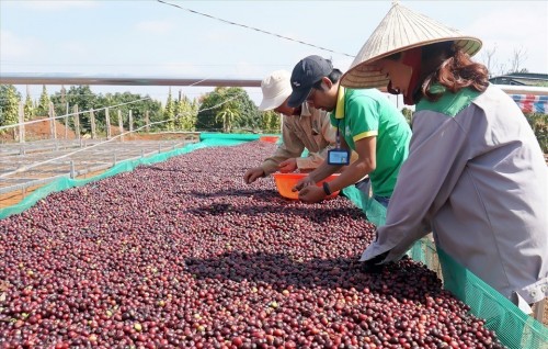 Điều kiện trở thành thành viên, hợp tác xã thành viên