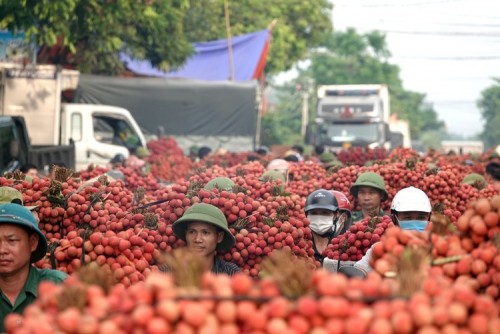 Bắc Giang: Thúc đẩy tiêu dùng sản phẩm OCOP gắn với thị trường du lịch