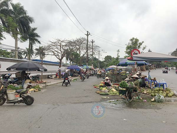 Chợ rau đêm chân cầu An Dương (phường Lam Sơn, quận Lê Chân)