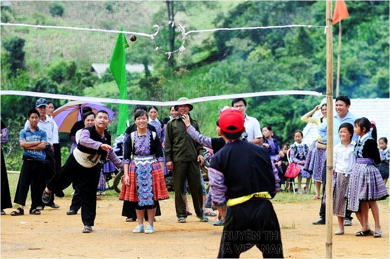 cho tinh o moc chau