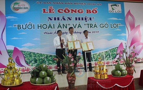 Cấp chứng nhận nhãn hiệu “Bưởi Hoài Ân” và trà "Gò Loi" huyện Hoài Ân.