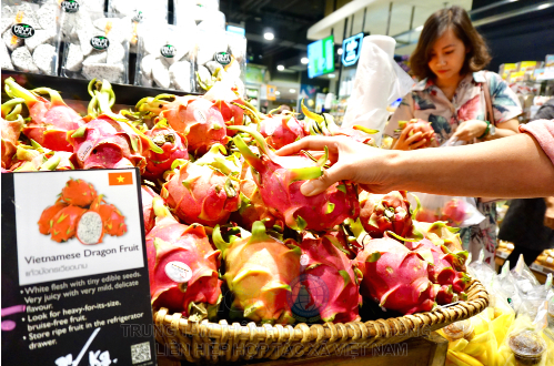 Thanh long Việt Nam bán trong siêu thị Tops Market của Central Plaza Grand Rama IX