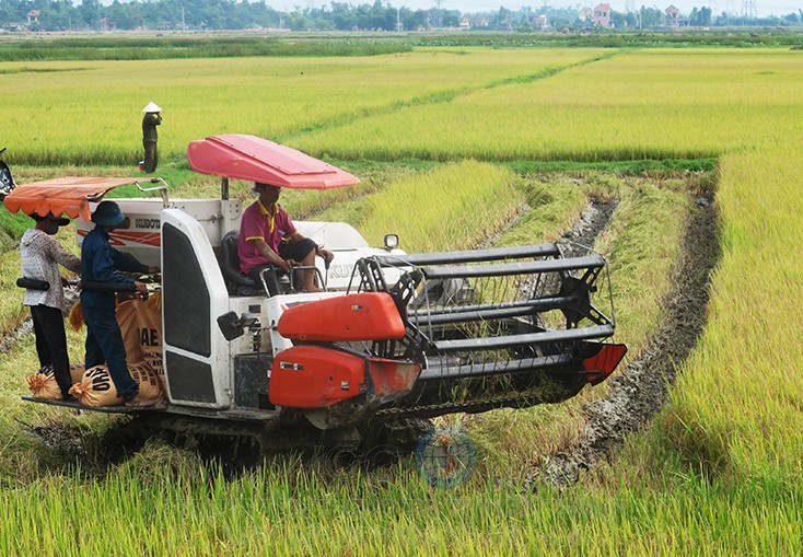 Cơ giới hóa sản xuất nông nghiệp góp phần nâng cao năng suất, sản lượng.