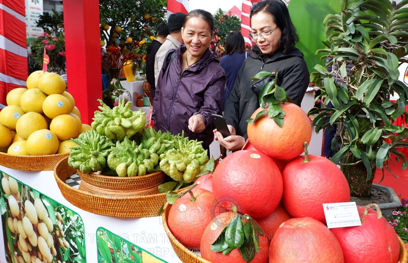 hanoi6