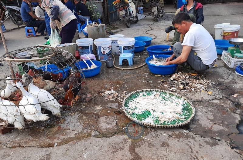 Gia cầm được bày bán, giết mổ ngay tại khu chợ ven đường Quốc lộ 6, gần khu vực cầu Mai Lĩnh (quận Hà Đông)