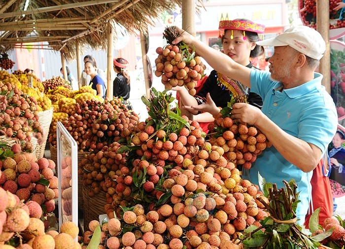 Các mặt hàng nông thủy sản Việt Nam xuất sang Nhật hai tháng đầu năm tăng 2-25% so với cùng kỳ năm ngoái.