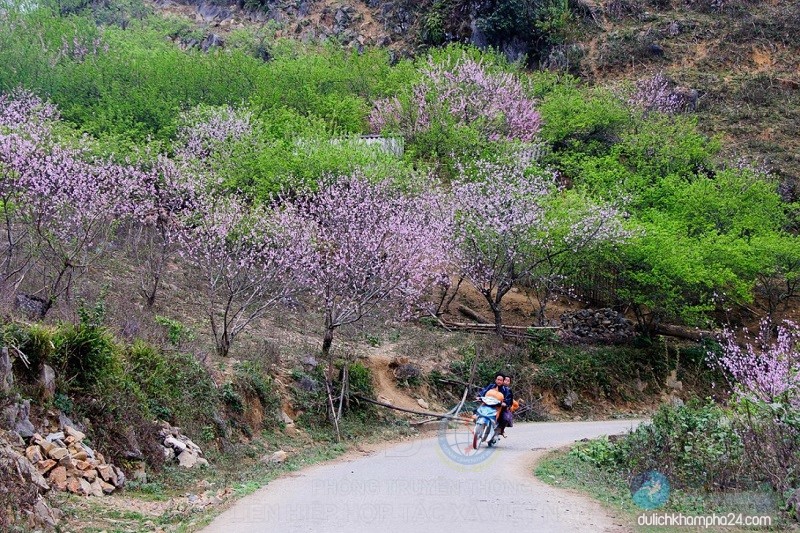 cua khau long sap moc chau