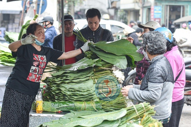 cho la dong 12 1612785795965