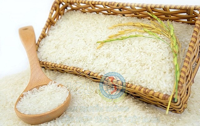 Giá lúa gạo hôm nay 6/4: Giá gạo xuất khẩu Việt Nam giảm mạnh để cạnh tranh với gạo Ấn Độ